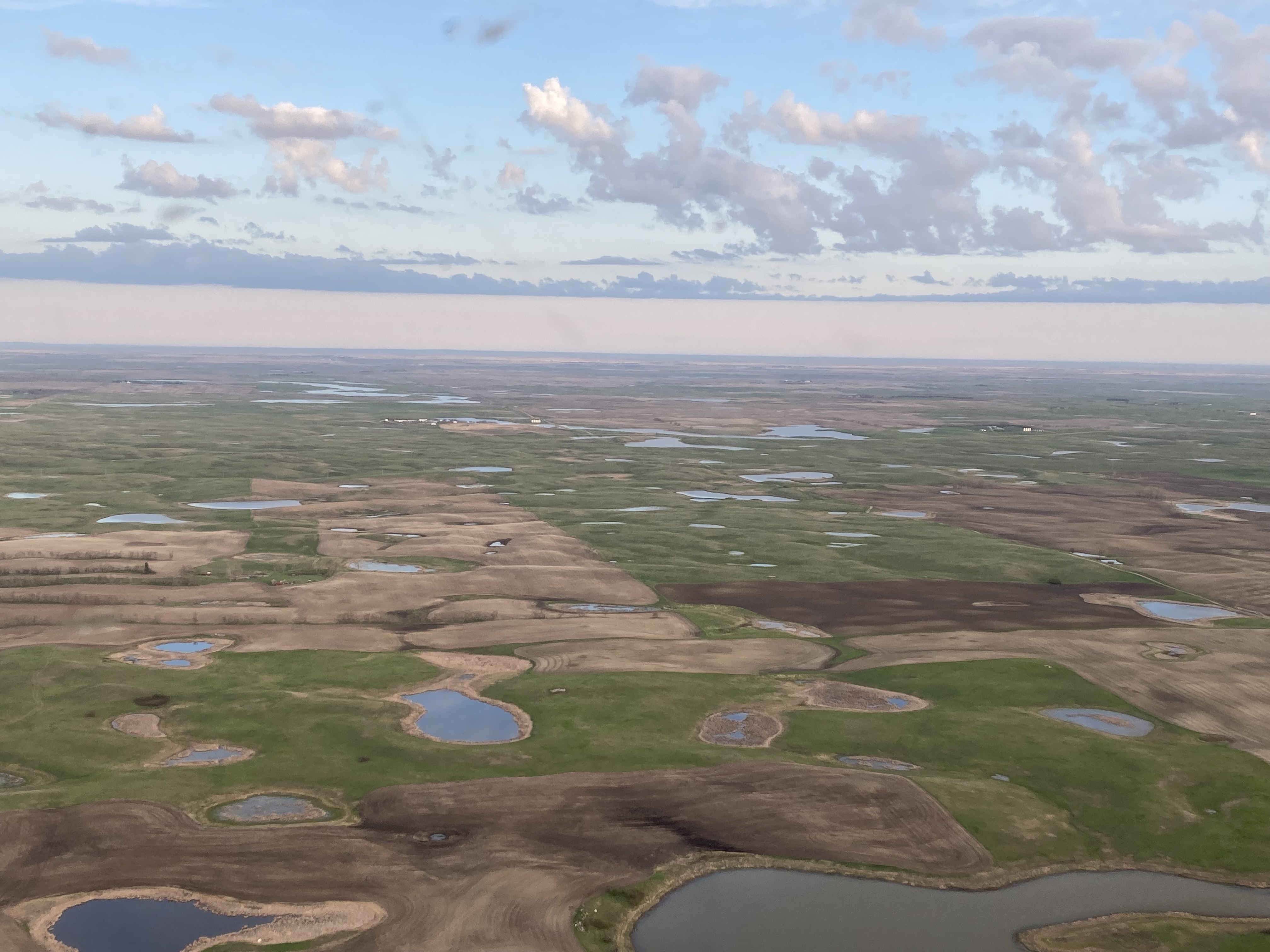 Aerial view of wetlands in North Dakota FWS.gov